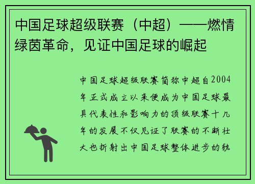 中国足球超级联赛（中超）——燃情绿茵革命，见证中国足球的崛起