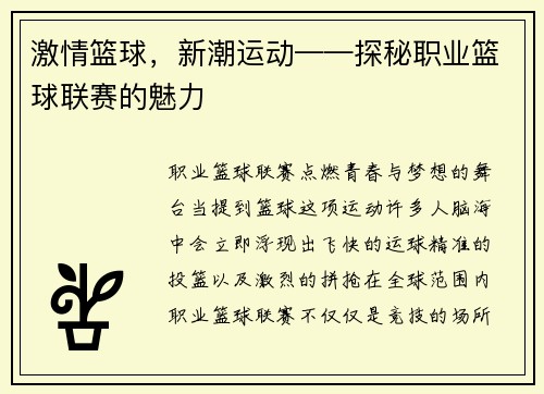 激情篮球，新潮运动——探秘职业篮球联赛的魅力
